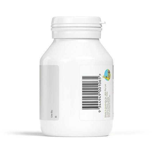 bio island zinc (120cht)