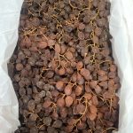 nho khô sweetglobe (thùng)